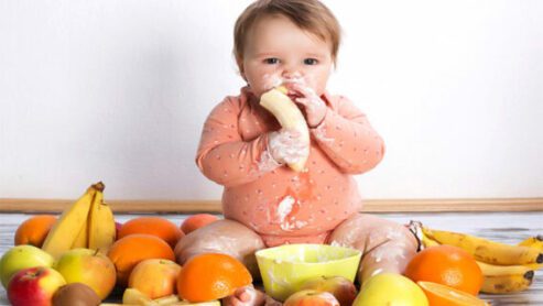 10 Baby Food for 3-Year-Olds: