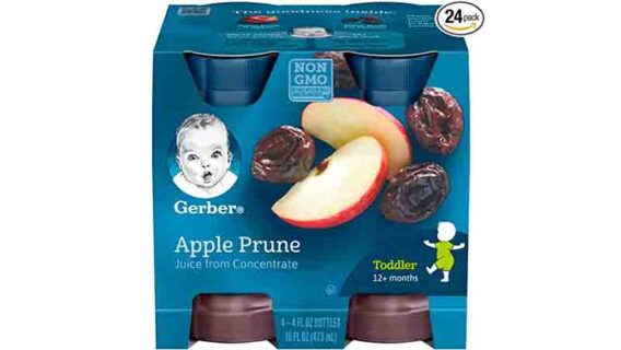 Gerber Prune Baby Food