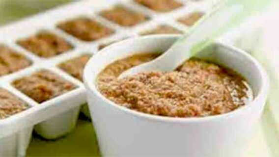Ground Beef Baby Food