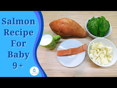 Salmon Recipe For Baby | 9+ | Baby Food With Fish Recipe
