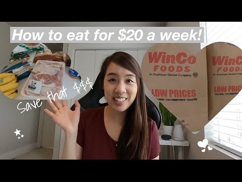How to Eat for $20 a Week ~WinCo Grocery Challenge~