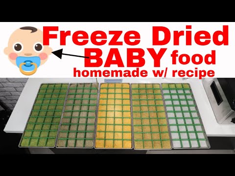 FOOD SHORTAGE! Freeze Dried Baby Food RECIPE