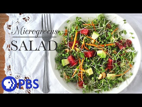 Microgreens Salad | Kitchen Vignettes for PBS | PBS Food