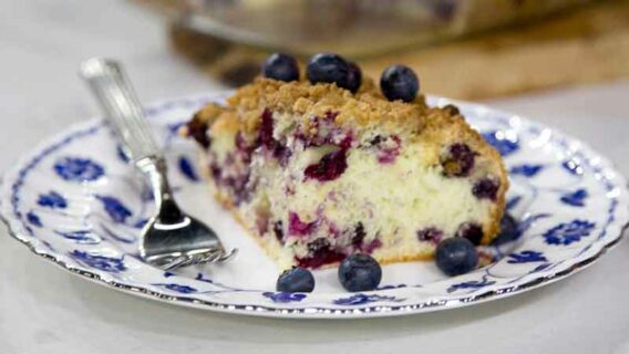 Blueberry Buckle Baby Food