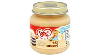 Custard Baby Food