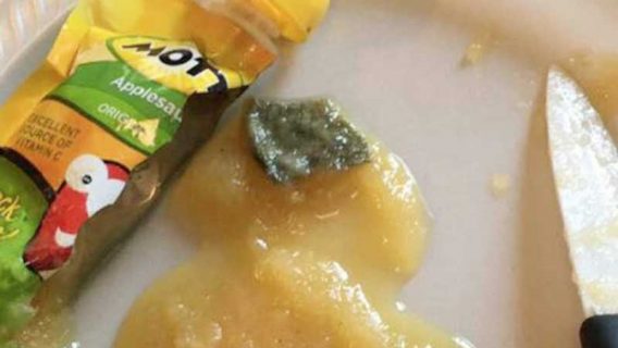 How to Use Baby Food Pouches Mold?