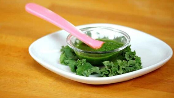 Kale Baby Food Recipe