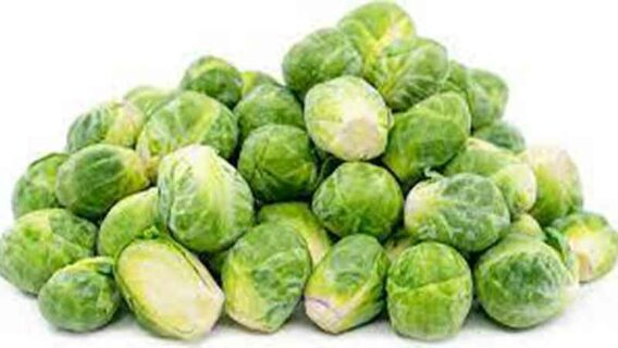 Brussel Sprouts Baby Food