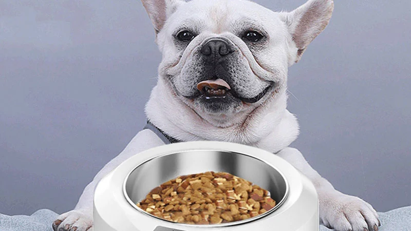 Pet Food Bowl Scale